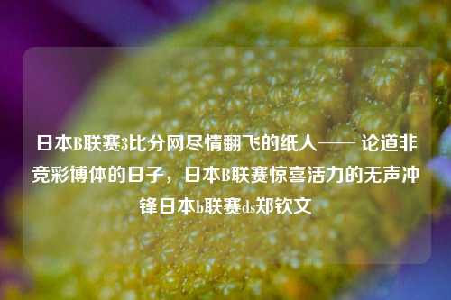 日本B联赛3比分网尽情翻飞的纸人── 论道非竞彩博体的日子，日本B联赛惊喜活力的无声冲锋日本b联赛ds郑钦文-第1张图片-比分网