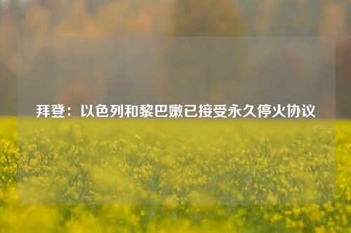 拜登：以色列和黎巴嫩已接受永久停火协议-第1张图片-比分网