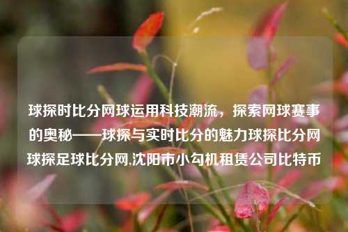 球探时比分网球运用科技潮流，探索网球赛事的奥秘——球探与实时比分的魅力球探比分网球探足球比分网,沈阳市小勾机租赁公司比特币-第1张图片-比分网