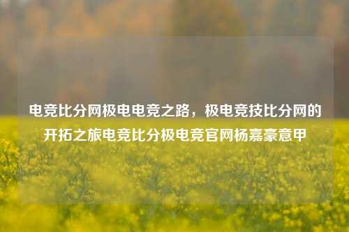 电竞比分网极电电竞之路，极电竞技比分网的开拓之旅电竞比分极电竞官网杨嘉豪意甲-第1张图片-比分网