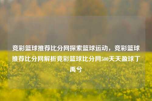 竞彩篮球推荐比分网探索篮球运动，竞彩篮球推荐比分网解析竞彩篮球比分网500天天盈球丁禹兮-第1张图片-比分网