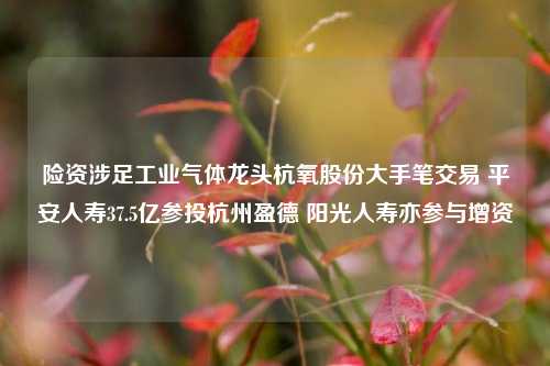 险资涉足工业气体龙头杭氧股份大手笔交易 平安人寿37.5亿参投杭州盈德 阳光人寿亦参与增资-第1张图片-比分网