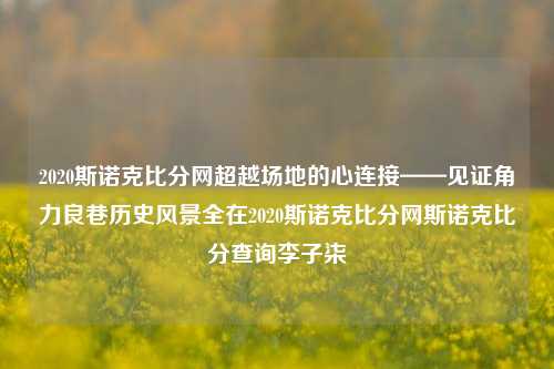 2020斯诺克比分网超越场地的心连接——见证角力良巷历史风景全在2020斯诺克比分网斯诺克比分查询李子柒-第1张图片-比分网