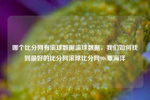 哪个比分网有滚球数据滚球数据，我们如何找到最好的比分网滚球比分网90v覃海洋-第1张图片-比分网