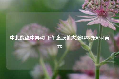 中北能盘中异动 下午盘股价大涨5.85%报0.360美元-第1张图片-比分网