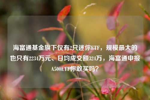 海富通基金旗下仅有2只迷你ETF，规模最大的也只有2234万元、日均成交额324万，海富通申报A500ETF你敢买吗？-第1张图片-比分网