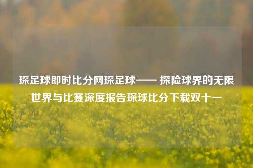 琛足球即时比分网琛足球—— 探险球界的无限世界与比赛深度报告琛球比分下载双十一-第1张图片-比分网