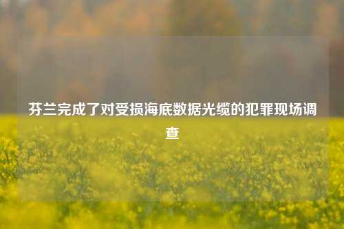 芬兰完成了对受损海底数据光缆的犯罪现场调查-第1张图片-比分网