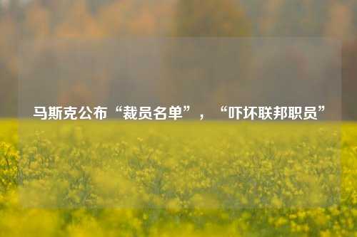 马斯克公布“裁员名单”，“吓坏联邦职员”-第1张图片-比分网