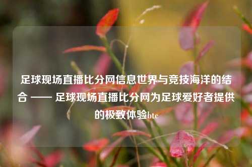 足球现场直播比分网信息世界与竞技海洋的结合 —— 足球现场直播比分网为足球爱好者提供的极致体验btc-第1张图片-比分网