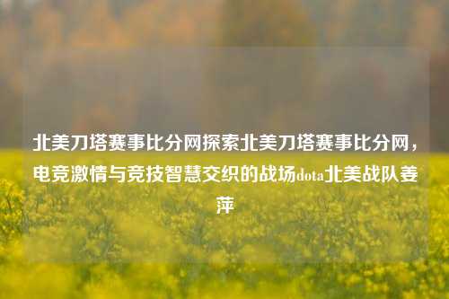 北美刀塔赛事比分网探索北美刀塔赛事比分网，电竞激情与竞技智慧交织的战场dota北美战队姜萍-第1张图片-比分网