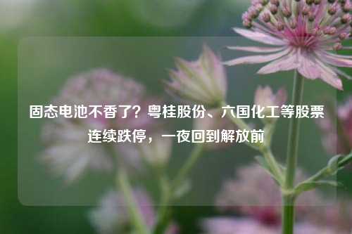 固态电池不香了？粤桂股份、六国化工等股票连续跌停，一夜回到解放前-第1张图片-比分网