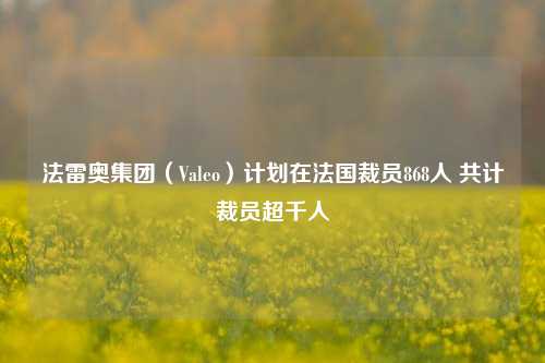 法雷奥集团（Valeo）计划在法国裁员868人 共计裁员超千人-第1张图片-比分网