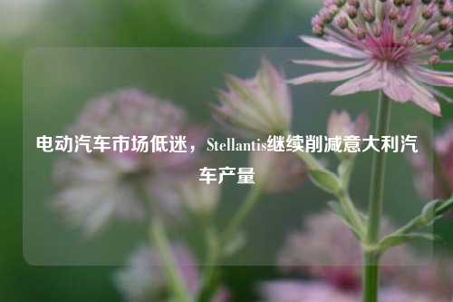 电动汽车市场低迷，Stellantis继续削减意大利汽车产量-第1张图片-比分网