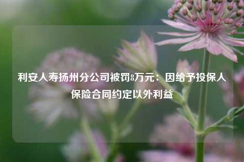 利安人寿扬州分公司被罚8万元：因给予投保人保险合同约定以外利益-第1张图片-比分网