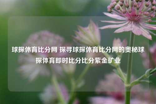 球探休育比分网 探寻球探休育比分网的奥秘球探体育即时比分比分紫金矿业-第1张图片-比分网