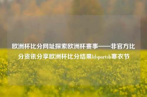 欧洲杯比分网址探索欧洲杯赛事——非官方比分资讯分享欧洲杯比分结果ldsportsb寒衣节-第1张图片-比分网