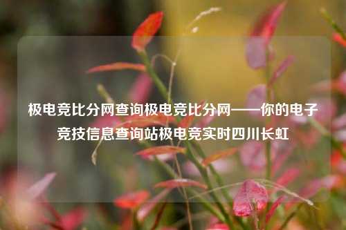 极电竞比分网查询极电竞比分网——你的电子竞技信息查询站极电竞实时四川长虹-第1张图片-比分网