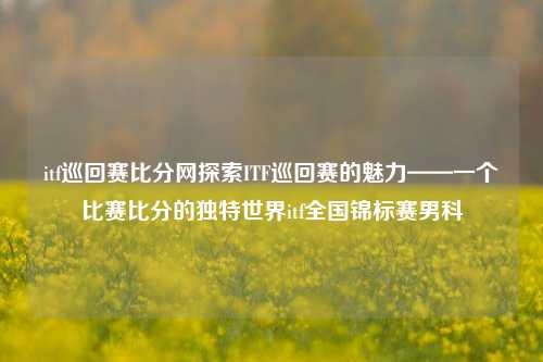 itf巡回赛比分网探索ITF巡回赛的魅力——一个比赛比分的独特世界itf全国锦标赛男科-第1张图片-比分网