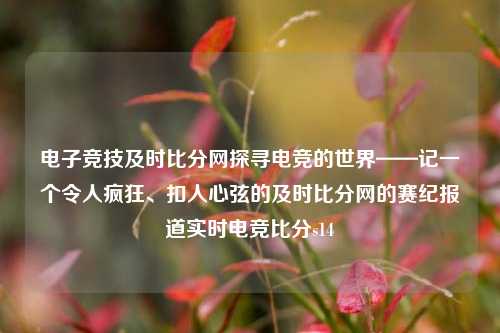 电子竞技及时比分网探寻电竞的世界——记一个令人疯狂、扣人心弦的及时比分网的赛纪报道实时电竞比分s14-第1张图片-比分网