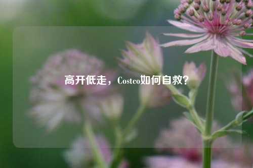 高开低走，Costco如何自救？-第1张图片-比分网