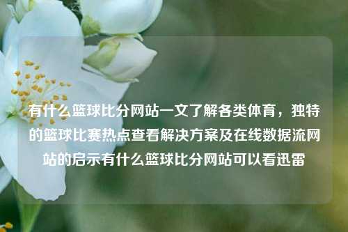 有什么篮球比分网站一文了解各类体育，独特的篮球比赛热点查看解决方案及在线数据流网站的启示有什么篮球比分网站可以看迅雷-第1张图片-比分网