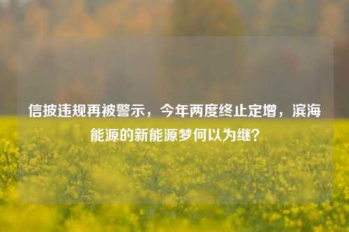 信披违规再被警示，今年两度终止定增，滨海能源的新能源梦何以为继？-第1张图片-比分网