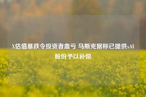 X估值暴跌令投资者血亏 马斯克据称已提供xAI股份予以补偿-第1张图片-比分网