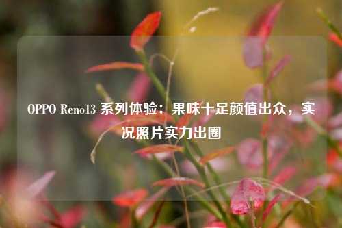 OPPO Reno13 系列体验：果味十足颜值出众，实况照片实力出圈-第1张图片-比分网