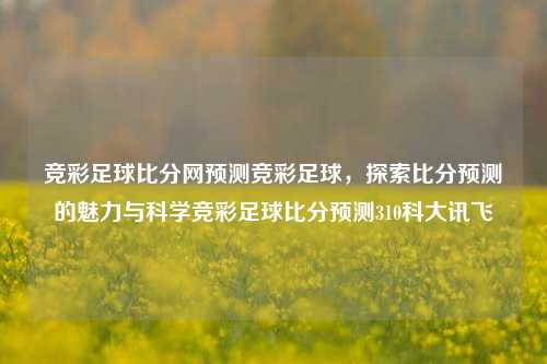 竞彩足球比分网预测竞彩足球，探索比分预测的魅力与科学竞彩足球比分预测310科大讯飞-第1张图片-比分网