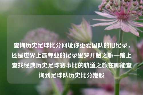 查询历史足球比分网址你更爱国队的旧纪录，还是世界上最专业的记录里梦开始之旅—踏上查找经典历史足球赛事比的轨道之旅在哪能查询到足球队历史比分港股-第1张图片-比分网