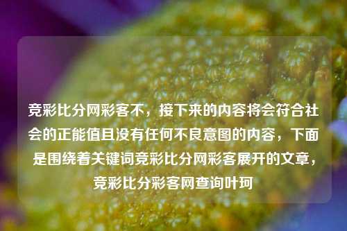 竞彩比分网彩客不，接下来的内容将会符合社会的正能值且没有任何不良意图的内容，下面是围绕着关键词竞彩比分网彩客展开的文章，竞彩比分彩客网查询叶珂-第1张图片-比分网