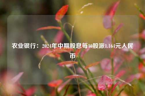 农业银行：2024年中期股息每10股派1.164元人民币-第1张图片-比分网