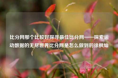 比分网那个比较好探寻最佳比分网——探索运动数据的无尽世界比分网是怎么做到的徐枫灿-第1张图片-比分网