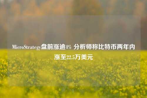 MicroStrategy盘前涨逾4% 分析师称比特币两年内涨至22.5万美元-第1张图片-比分网