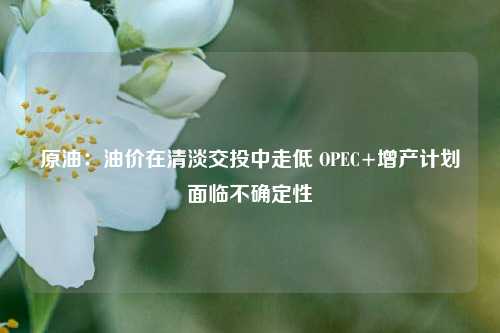 原油：油价在清淡交投中走低 OPEC+增产计划面临不确定性-第1张图片-比分网