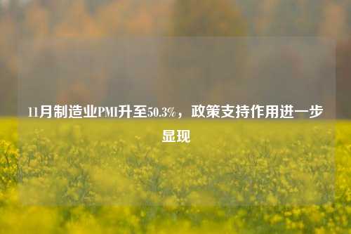 11月制造业PMI升至50.3%，政策支持作用进一步显现-第1张图片-比分网