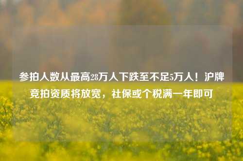 参拍人数从最高28万人下跌至不足5万人！沪牌竞拍资质将放宽，社保或个税满一年即可-第1张图片-比分网